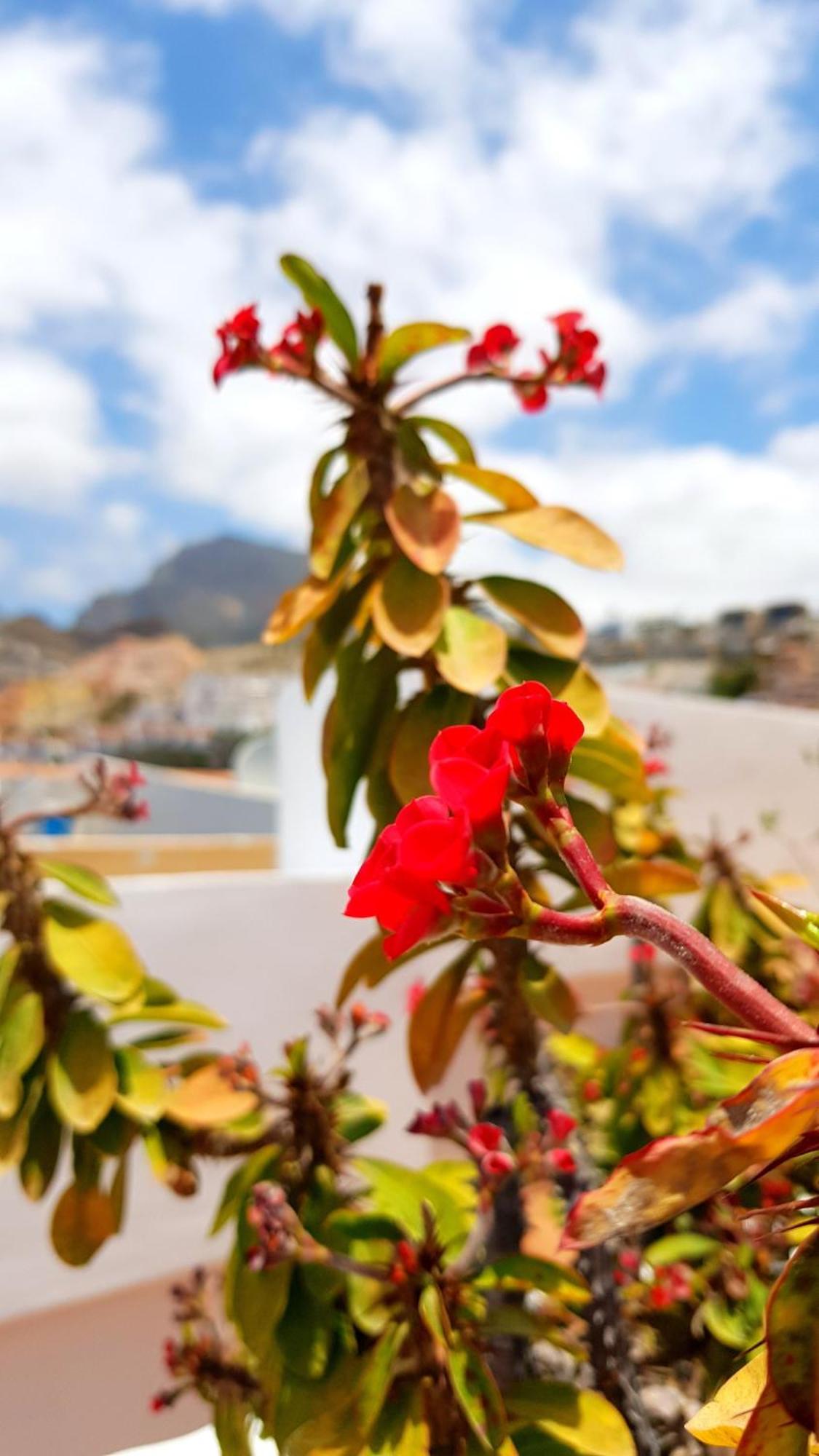 Warm, Cozy And Comfortable Costa Adeje  Exterior photo